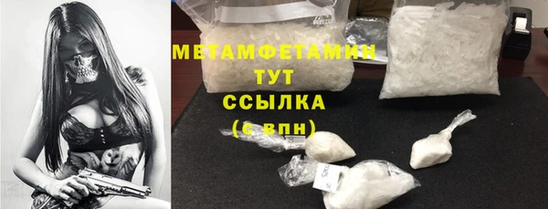 крисы Богородицк