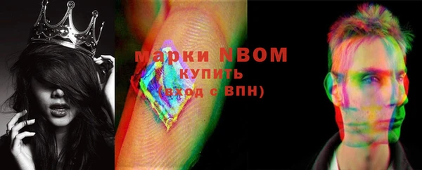 крисы Богородицк
