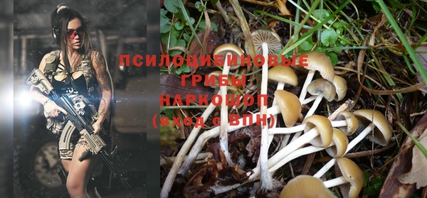 бутират Бородино
