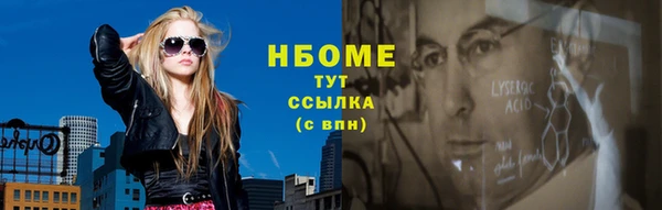 гидра Богородск