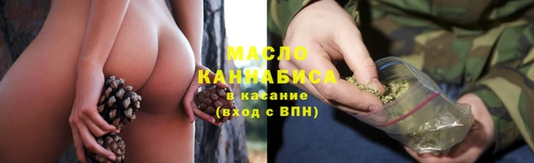 крисы Богородицк