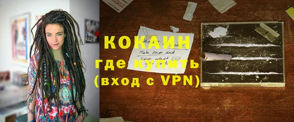 крисы Богородицк