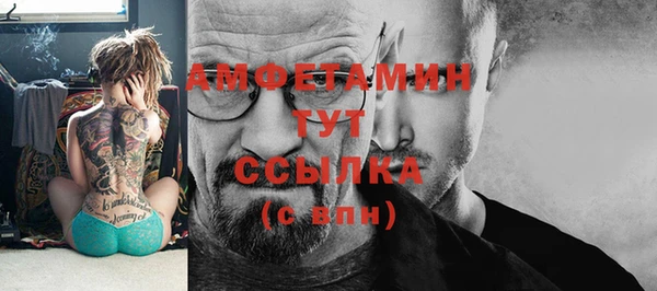 крисы Богородицк