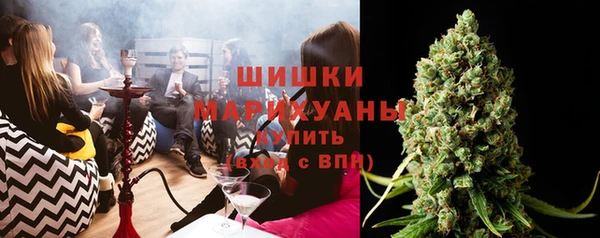 гидра Богородск