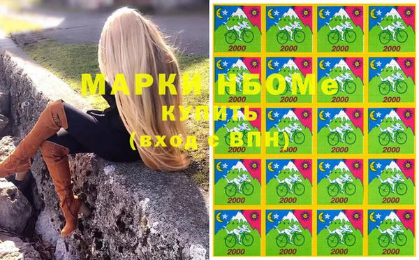 крисы Богородицк