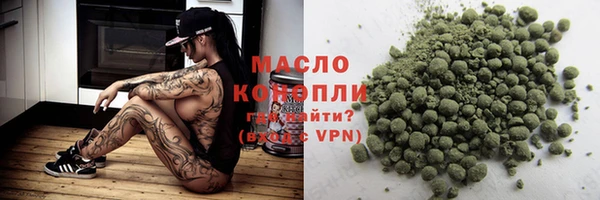 гидра Богородск