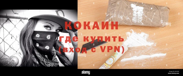 ПСИЛОЦИБИНОВЫЕ ГРИБЫ Богданович