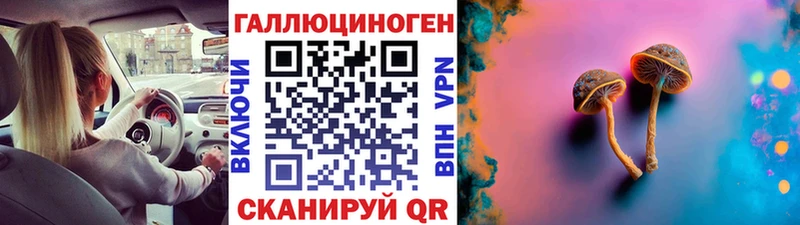 купить   Волосово  Псилоцибиновые грибы ЛСД 